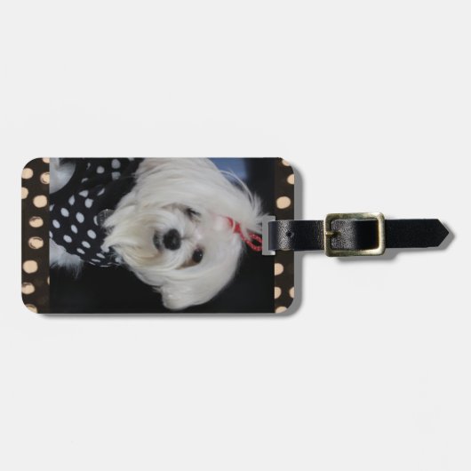 Maltees Dog Bagagelabel (Voorkant horizontaal)