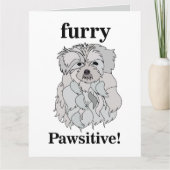 Maltees Dog Pet Animal Kaart (Voorkant)