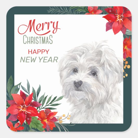 Maltees Dog Poinsettia Border Kerstmis Vierkante Sticker (Voorkant)