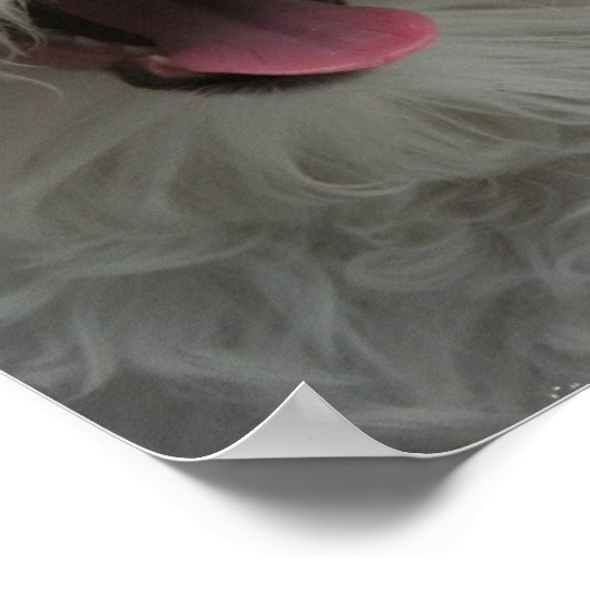 Maltees Dog Print (Hoek)