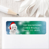 Maltees Dog Santa Hat Return-adres Etiket (Insitu)