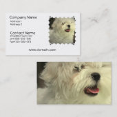 Maltees Dog Visitekaartje (Voorkant / Achterkant)