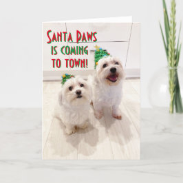 Maltees en Bichon kerstkaart Goodboys Santa Feestdagen Kaart