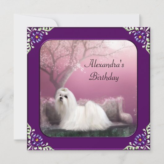 Maltees en Cherry Blossom Park Paars Lijst Kaart (Voorkant)