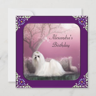 Maltees en Cherry Blossom Park Paars Lijst Kaart