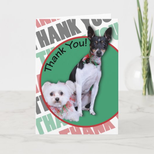 Maltees en Fox Terrier Hartelijk dank Bedankkaart (Voorkant)