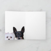 Maltees en Fox Terrier Hartelijk dank Bedankkaart (Binnen)