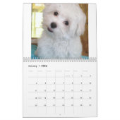 Maltees en Maltipoo Puppy Calendar Kalender (Jan 2026)