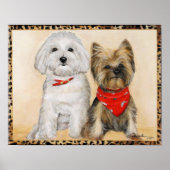 Maltees en Yorkie Pups Poster (Voorkant)