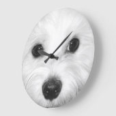 Maltees en zijn charmante attributen neus en ogen grote klok (Hoek)