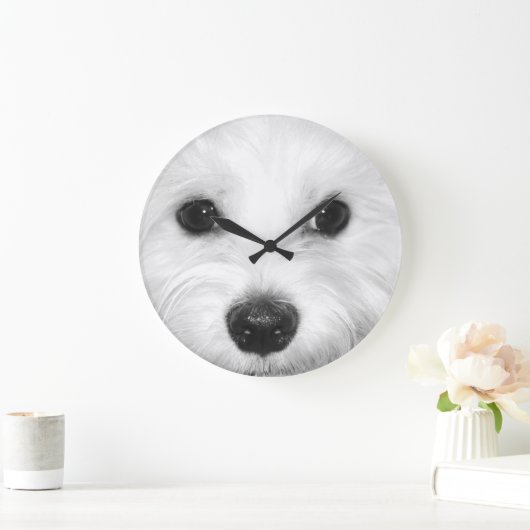 Maltees en zijn charmante attributen neus en ogen grote klok (Huis)