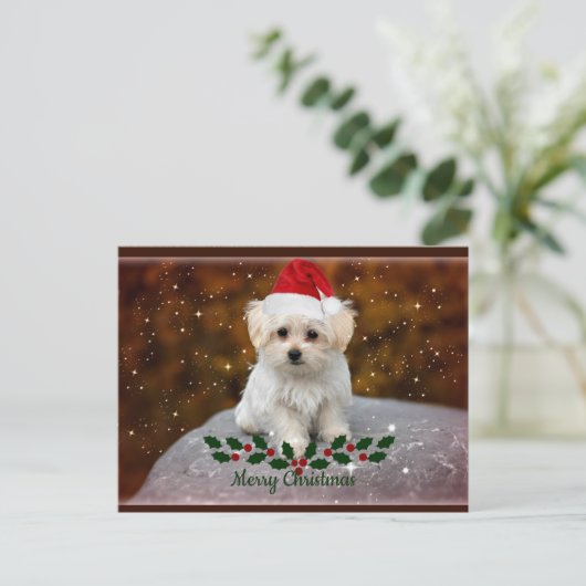 Maltees feestmaal briefkaart (Staand voorkant)