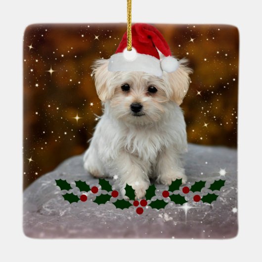 Maltees feestmaal keramisch ornament (Achterkant)