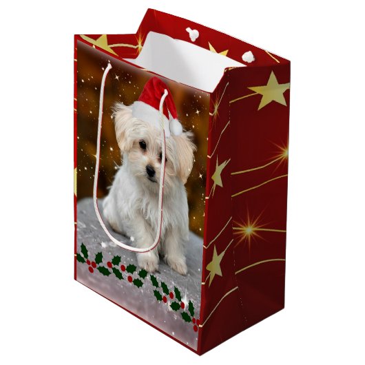 Maltees feestmaal medium cadeauzakje (Voorkant Gekanteld)