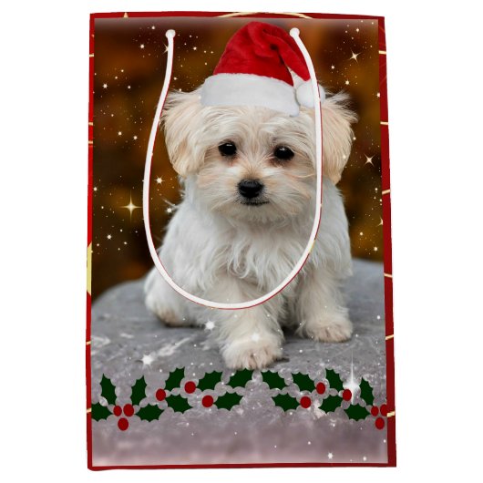 Maltees feestmaal medium cadeauzakje (Voorkant)