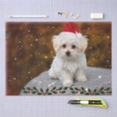 Maltees feestmaal, schattig en knuffel tissuepapier (Craft)