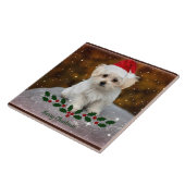 Maltees feestmaal tegeltje (Zijkant)