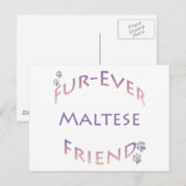 Maltees Furever Briefkaart (Voorkant / Achterkant)