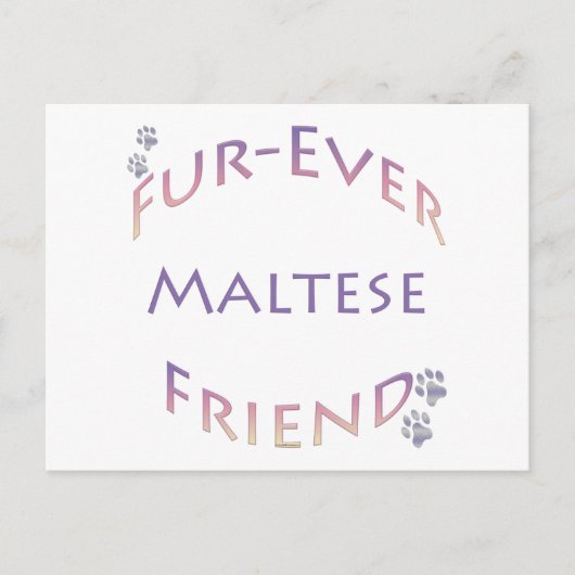 Maltees Furever Briefkaart (Voorkant)