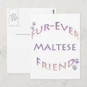 Maltees Furever Briefkaart (Voorkant / Achterkant)