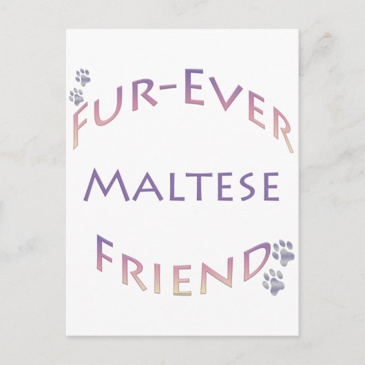 Maltees Furever Briefkaart (Voorkant)