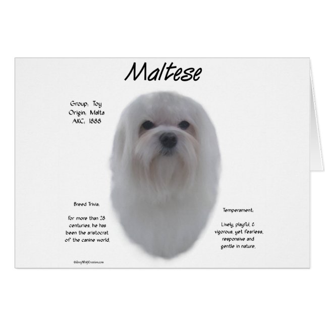 Maltees geschiedenisontwerp (Voorkant Horizontaal)