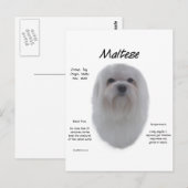 Maltees geschiedenisontwerp briefkaart (Voorkant / Achterkant)
