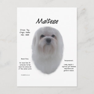 Maltees geschiedenisontwerp briefkaart