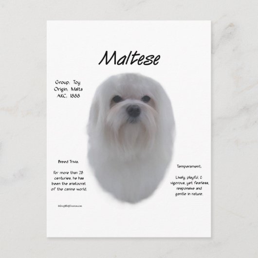 Maltees geschiedenisontwerp briefkaart (Voorkant)