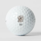 Maltees Golfballen (Voorkant)