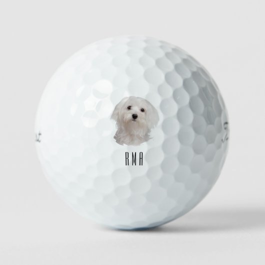 Maltees Golfballen (Voorkant)