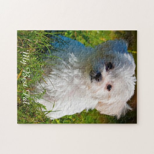 Maltees Hondenras. Jigzaag Puzzle Legpuzzel (Horizontaal)