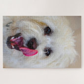 Maltees Hondenras. Legpuzzel (Horizontaal)