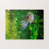 Maltees Hondenras. Legpuzzel (Horizontaal)