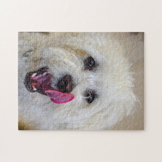 Maltees Hondenras. Legpuzzel (Horizontaal)