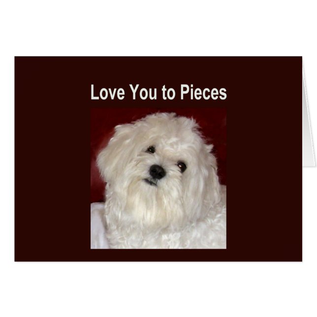 Maltees houden van je naar de PIECS-kaart - leeg b (Voorkant Horizontaal)