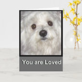 Maltees JE BENT GELIEFD Blank Wenskaart Kaart (Gele Bloem)