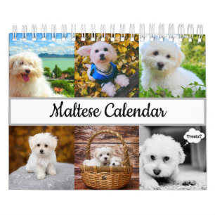 Maltees kalender 2022