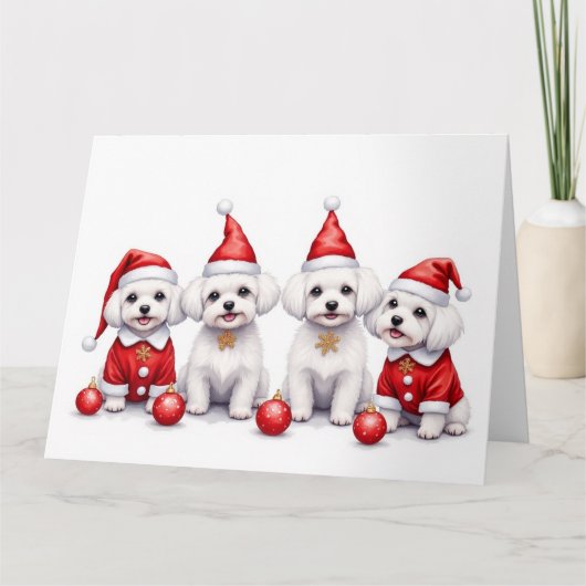 Maltees Kerstjurk Kerstman Muts Kaart (Voorkant)