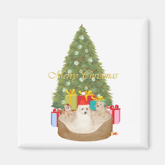 Maltees Kerstmis Magneet (Voorkant)