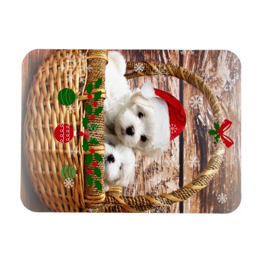 Maltees kerstPuppy, zo schattig en knuffel Magneet (Horizontaal)