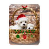 Maltees kerstPuppy, zo schattig en knuffel Magneet (Verticaal)