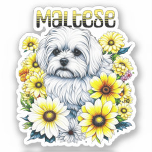 Maltees Klein :Witte hond Bree in gele bloemen Sticker