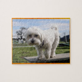 Maltees Legpuzzel