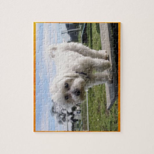 Maltees Legpuzzel (Verticaal)