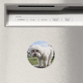 Maltees Magneet (Insitu (Vaatwasser))