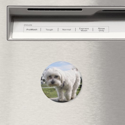 Maltees Magneet (Insitu (Vaatwasser))