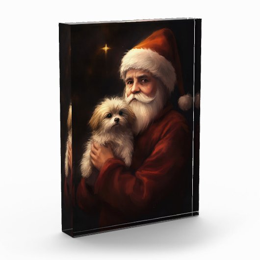 Maltees met sinterklaas feestelijke kerst fotoblokken (Links)