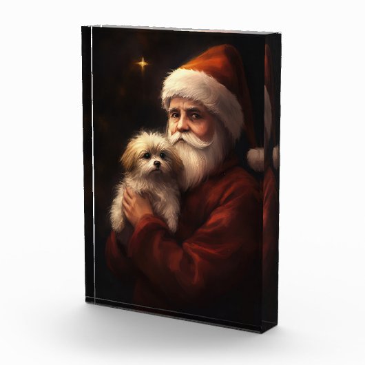 Maltees met sinterklaas feestelijke kerst fotoblokken (Rechts)