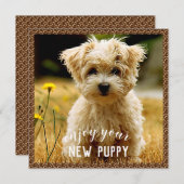 Maltees nieuwe betaalkaart bedankkaart (Voorkant / Achterkant)